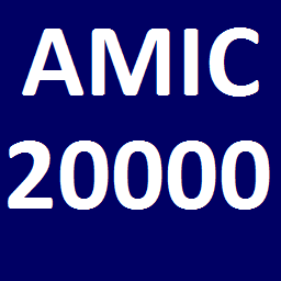 amic_20000.png